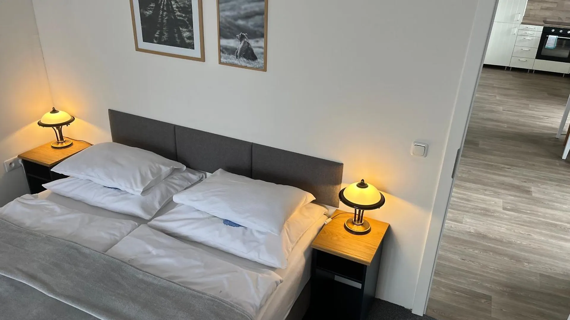 Apartment Residence Sarka Prag